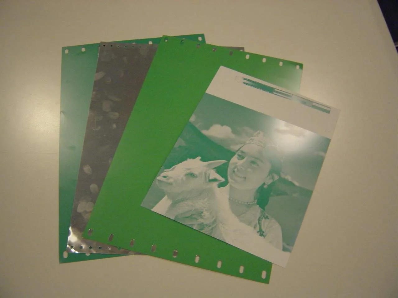 Offset Printing Plate