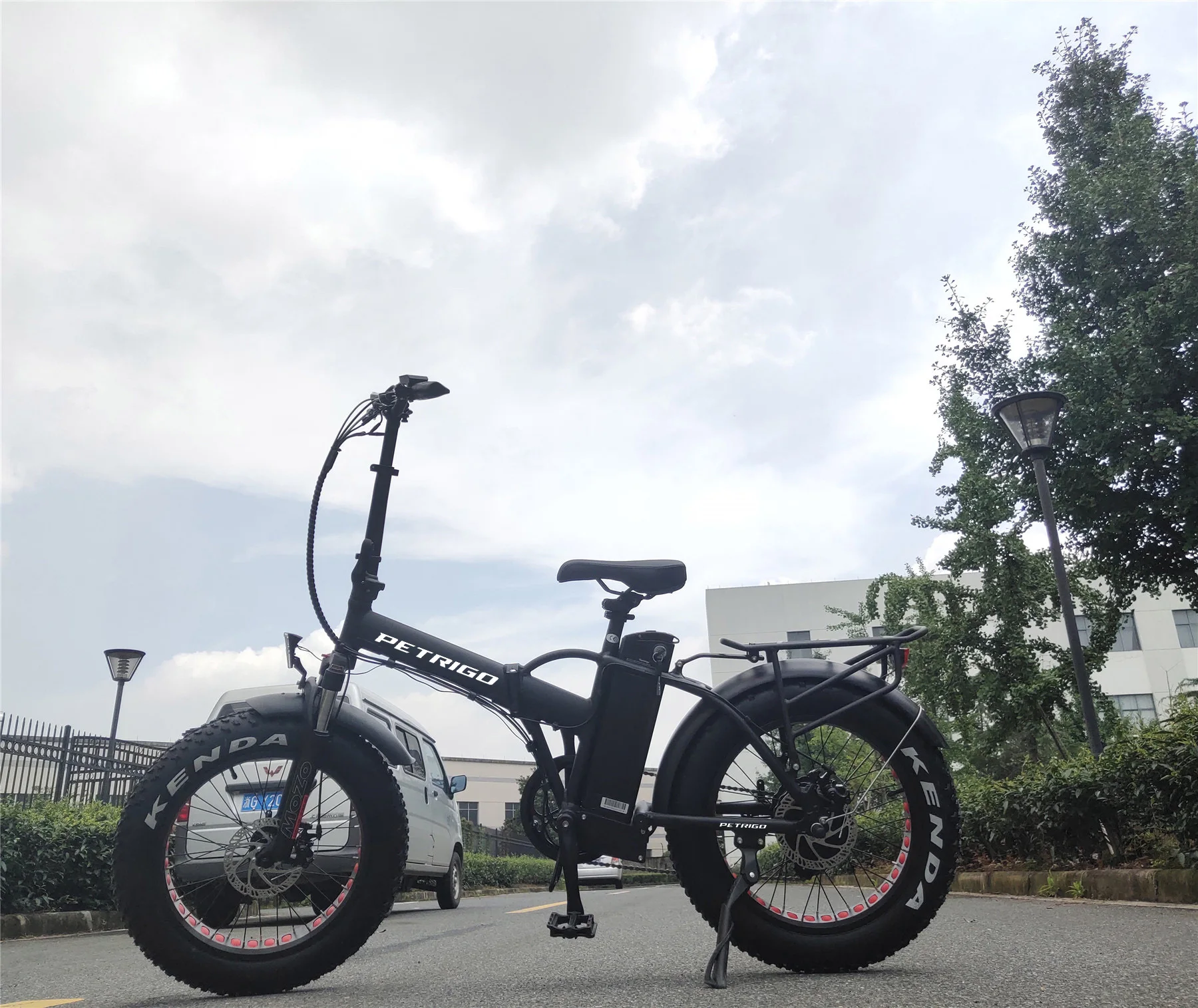 PETRIGO Good Price Folding Electric Bike Lithium Battery Power Supply 48v 500w Portable Electric Bicycle electric folding mounta