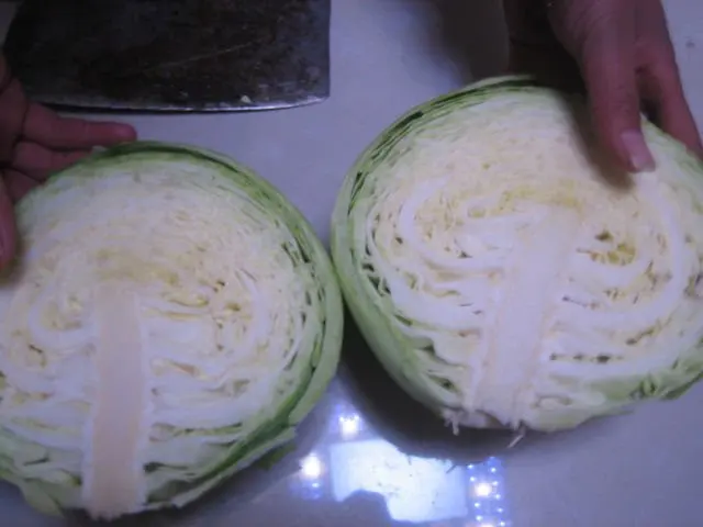 
small round fresh cabbage 