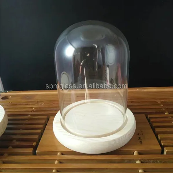 Elegant Beautiful Home Decoration Gift Glass Flower Display Dome