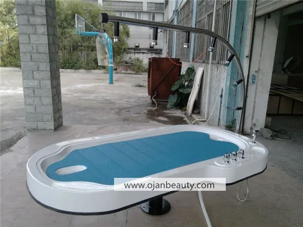 aqua spa massage bed,intelligent vichi shower complex-message bed/Water massage equipment
