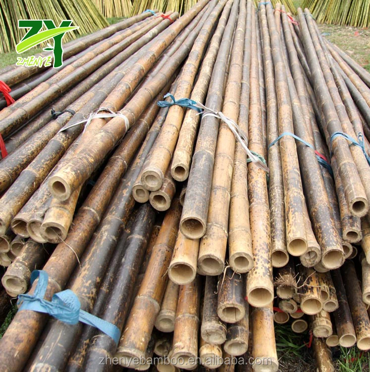 Цены по прейскуранту завода-изготовителя! ZY-1007 Редкие тигровые бамбуковые трости, зернистые бамбуковые трости большого диаметра, пятнистые бамбуковые трости большого диаметра