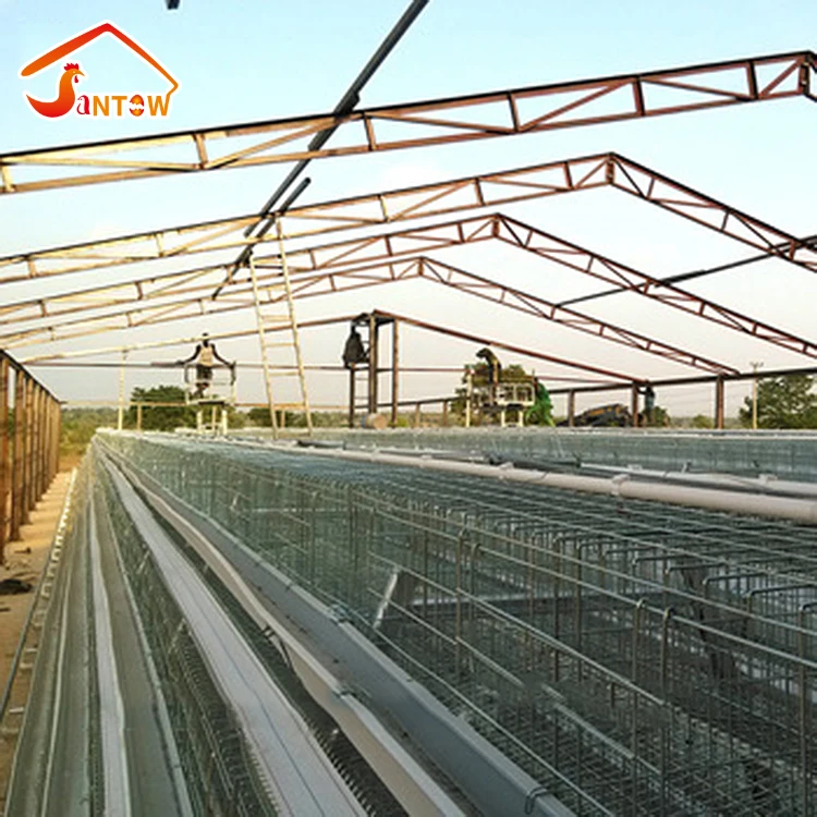 layer chicken cage of poultry equipment for sale in Nigeria Q235 steel galvanized one old day  chicks rearing battery cage