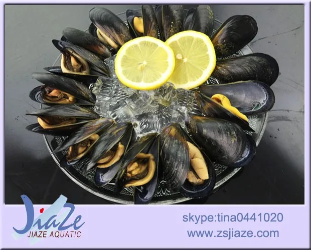 
Seafood Frozen cooked mussel meat 