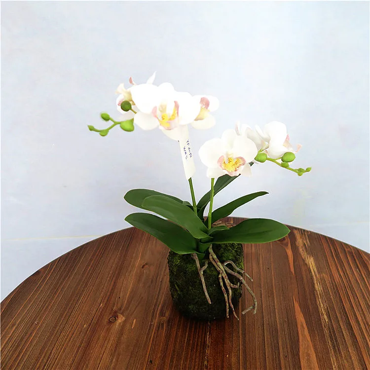 2019 Hotsales orchid silk daisy flower for interior decoration