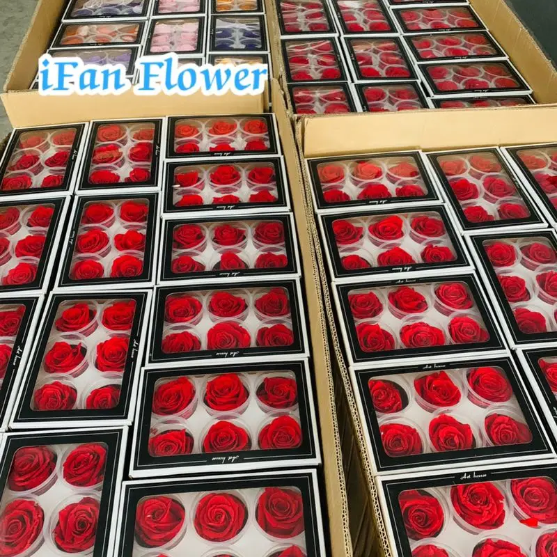A grade fresh cut preserved roses from ecuador wholesale longlasting flower