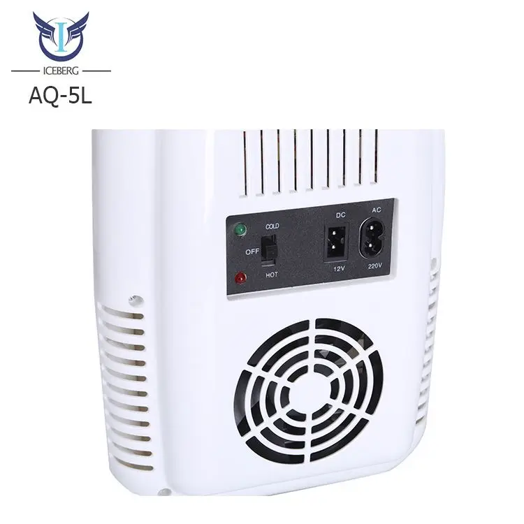 Wholesales 4L 12v custom portable cosmetic hot cold refrigerator mini car fridge