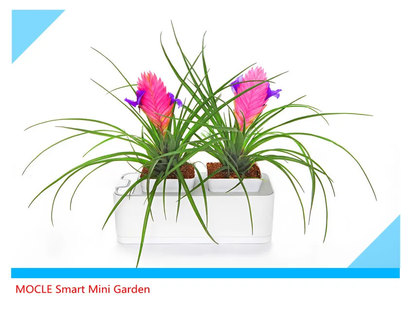 экологически чистые технологии экологически чистые продукты оптом