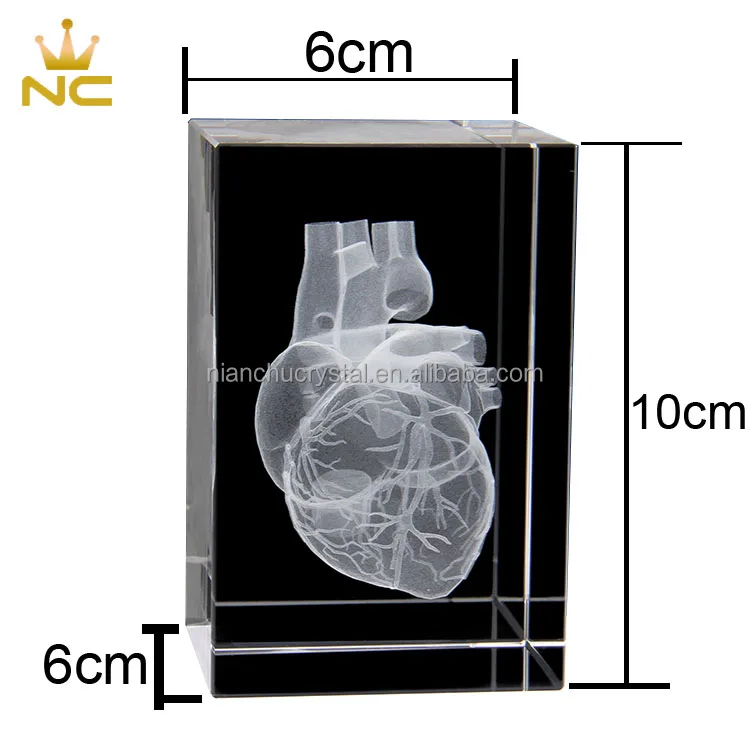 Heart Anatomy Model Design Cube Crystal 3D Laser Crystal Engraving With Detailed Visible Blood System