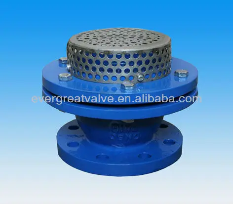 Foot Valves, PN10/PN16, Flanged