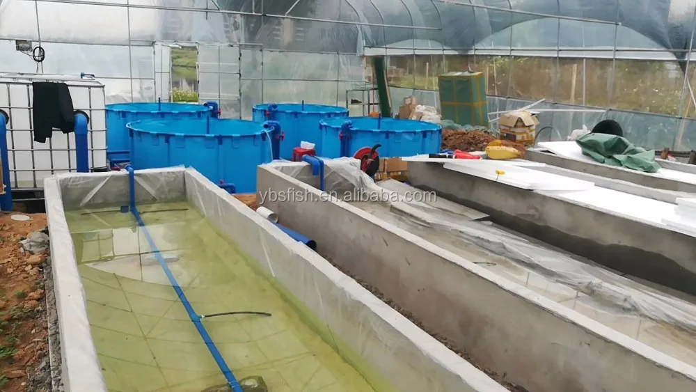 10m3 Mini Recirculation Aquaculture Systems for Fish seedling