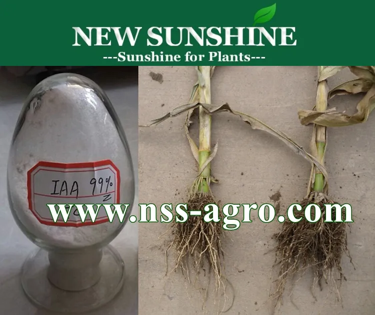 Профессиональный производитель МАА 99% укоренения гормона, высокое качество 3-стимулятор роста корня уксусной кислоты регулятор