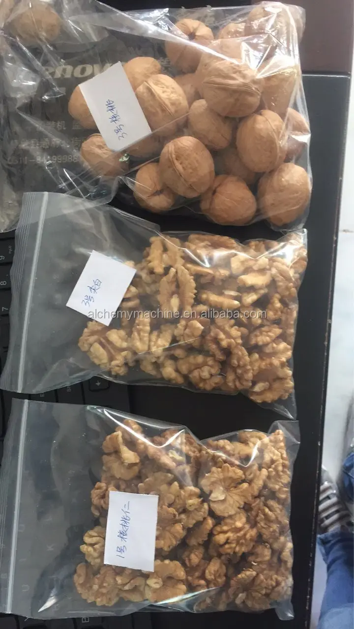 India Walnut In Shell and Ukraine Walnut Kernel Wholesale Price