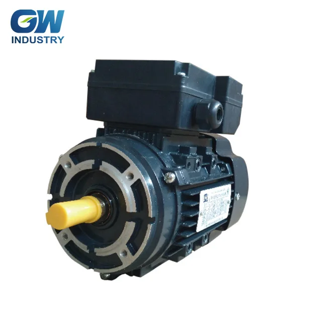 GW ELECTRIC 220v 3 phase rotisserie electric motor
