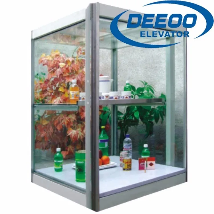 
250kg dumbwaiter motor food elevator for kitchen lift 