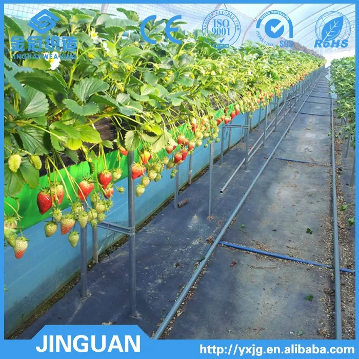 70 gsm Weed Growth Control Mat, Weed Plant Control Mat,Weed Fabric