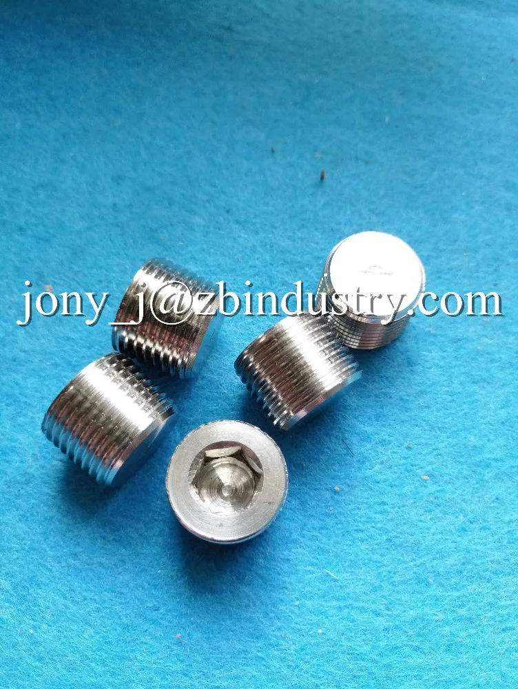 
SS304 316 Hex Bushings plugs, Allen key, Hose Fittings 