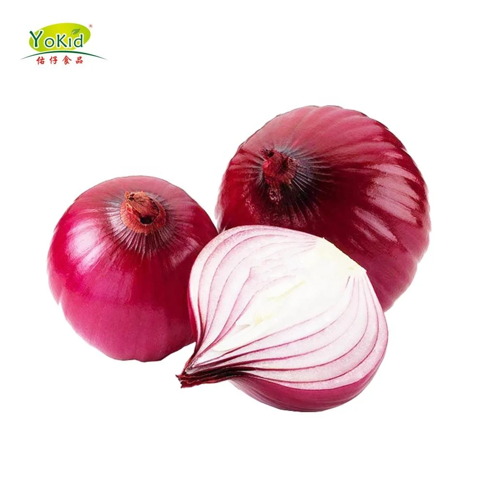 Fresh Organic Red Onion organic lowest natural price