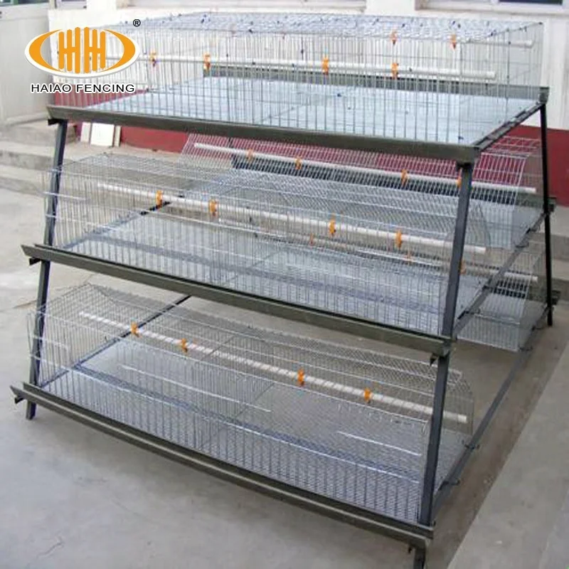 China factory wholesale low price good poultry chicken cages layer cages egg chicken