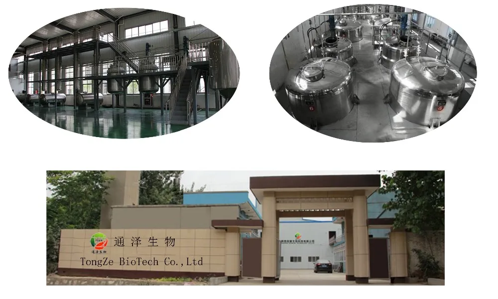 
Hot quality Moringa Oleifera Leaf Powder with best price 