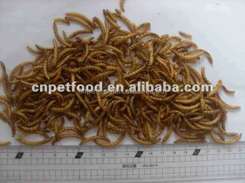 Bird feed dried mealworm 1kg color pouch