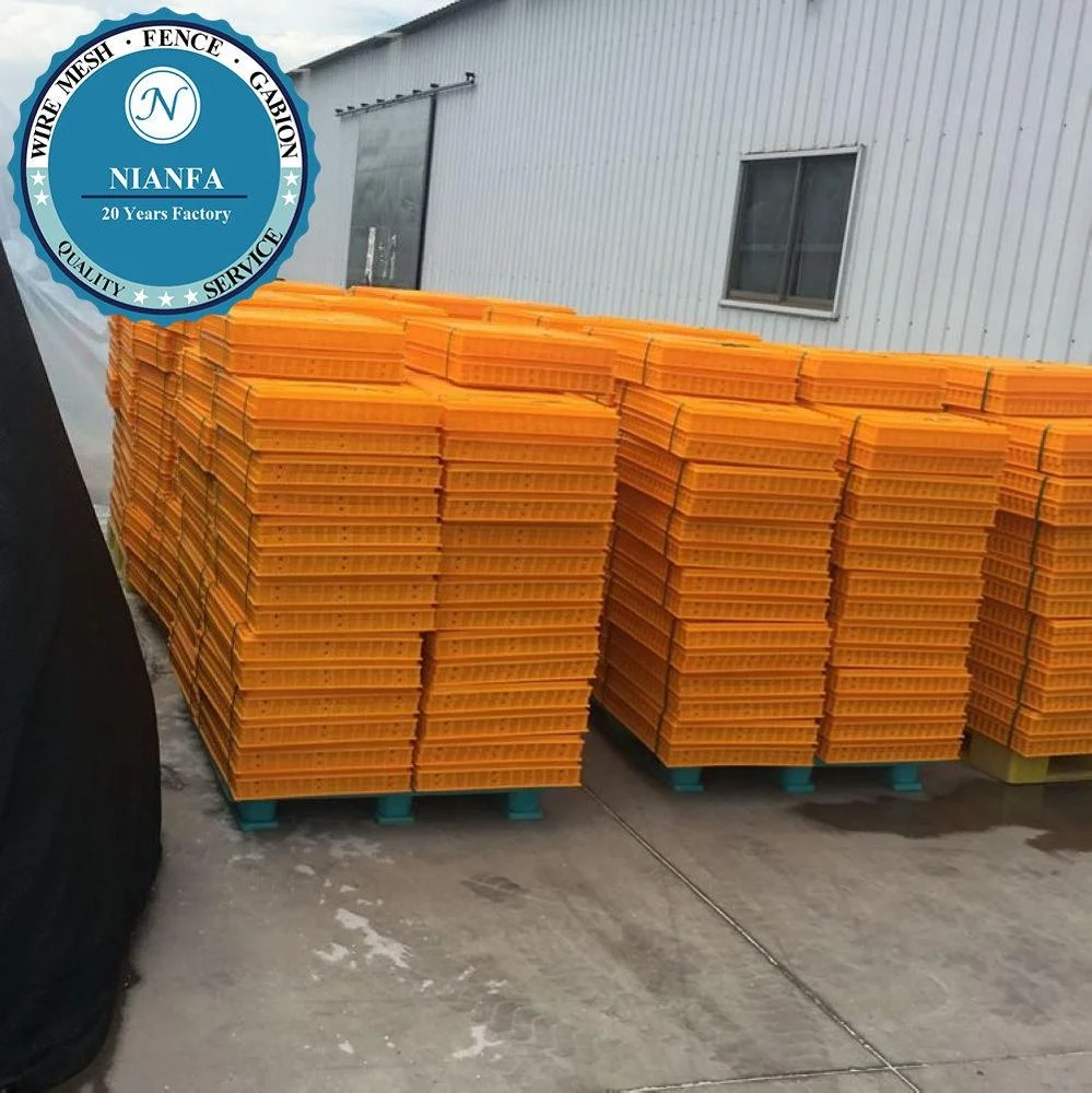 Poultry plastic chicken/duck/pigeon/dove transport cage /crate/case/box(Guangzhou Factory)