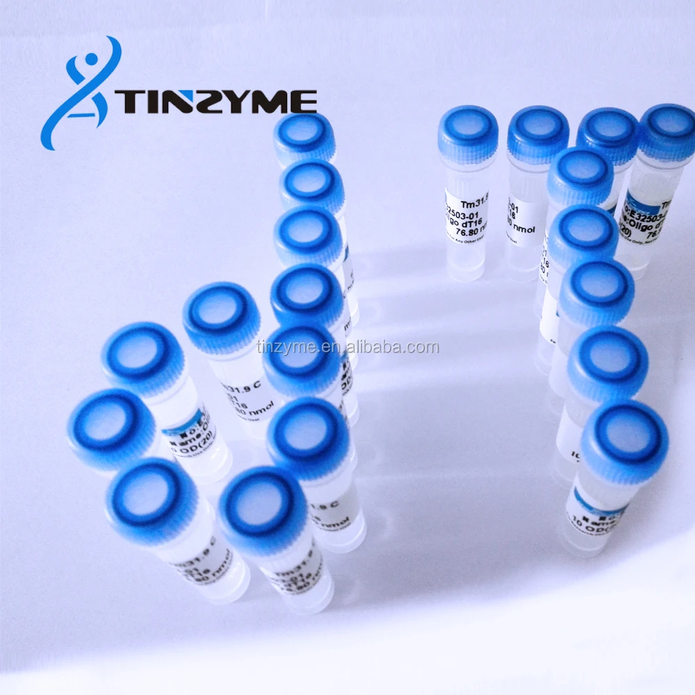 
Custom Oligo synthesis,oligo syntheis service 