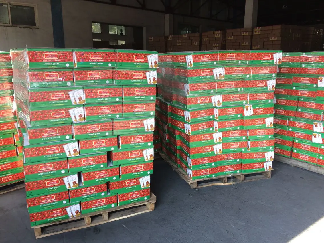 tin tomato paste brix28-30% for turkey from Xinjiang factory
