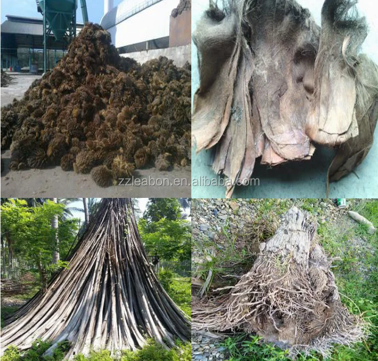 Высококачественная машина для измельчения кокосовой скорлупы конопли пальмы для продажи