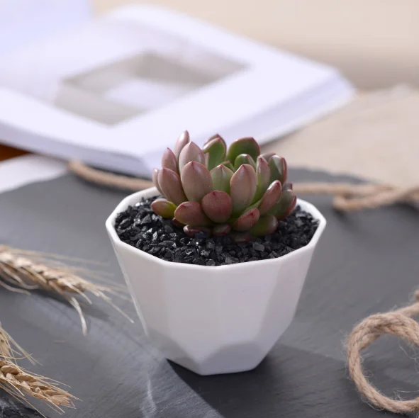 Indoor Garden Kit Plant Pots for Flower Vegetable Seeds Best Friend gifts