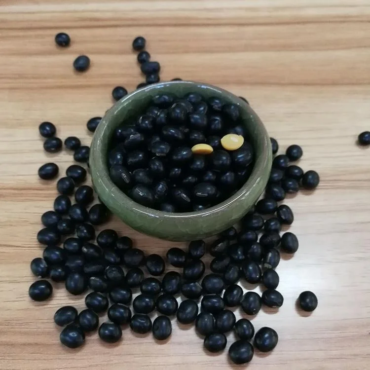 New crop soy bean dry bean black bean with yellow kernel