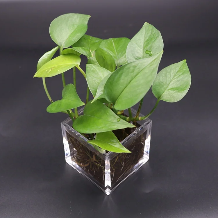 Storage Box Transparent Custom Environment-friendly Mini Acrylic Plastic Minimalist Customized Logo Desktop Elegant Indoor