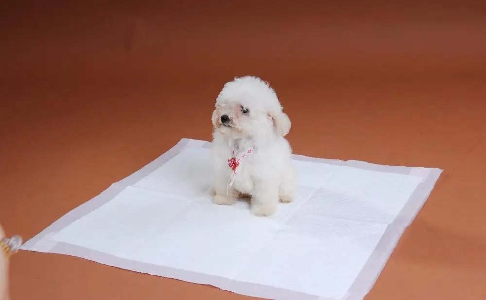 CDH-4A Automatic Patient Pad Making Machine, materity pad machine, pet pad machine