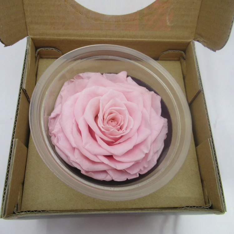 
Big pink rose bud size 9-10cm preserved flower material natural preserved roses for innovative birthday gifts in box 