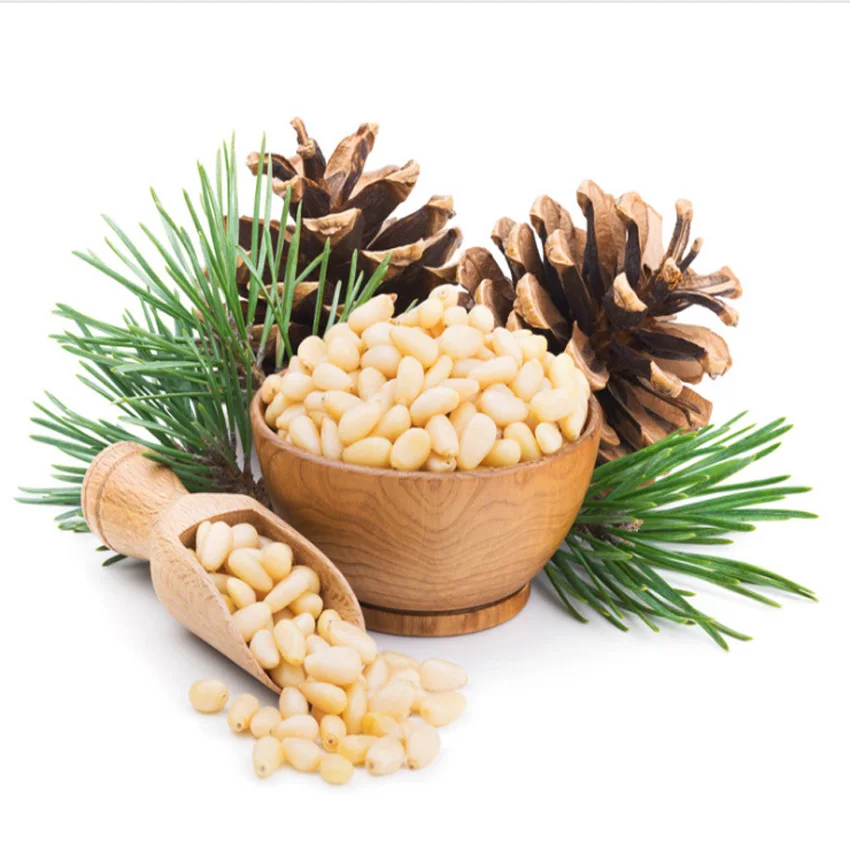 High Quality Cedar Pine Nut Kernel,Good Price Raw Pine Nut