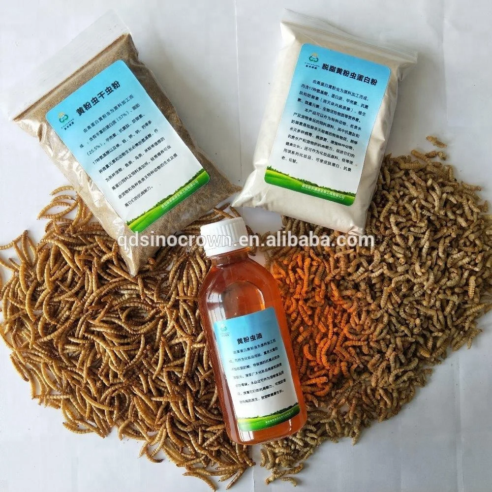 Ostrich Food Dried Yellow Mealworm Pupa Pet Feed Ddditive