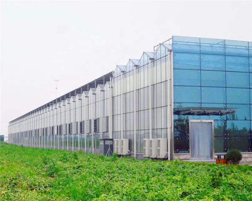 polycarbonate greenhouse with cooling system and ventilation system for flower planting