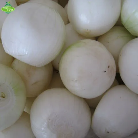 Желтый лук, лук-пилинг, лук-пилинг в картонных коробках