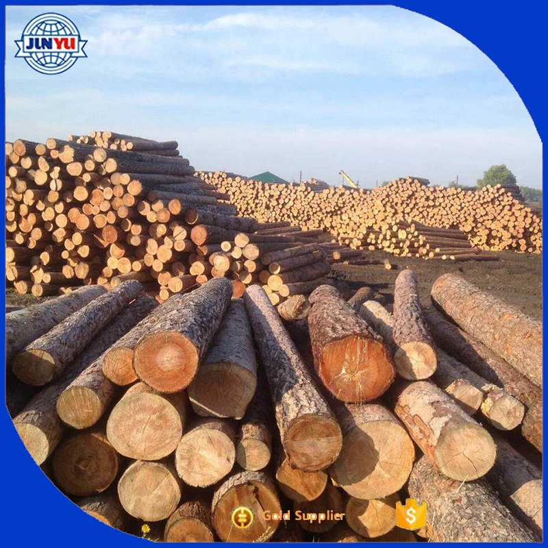 
Siberian larch wood lumber with best quality and price 