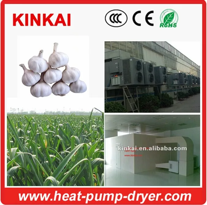 garlic, hair dryer desiccant desiccant