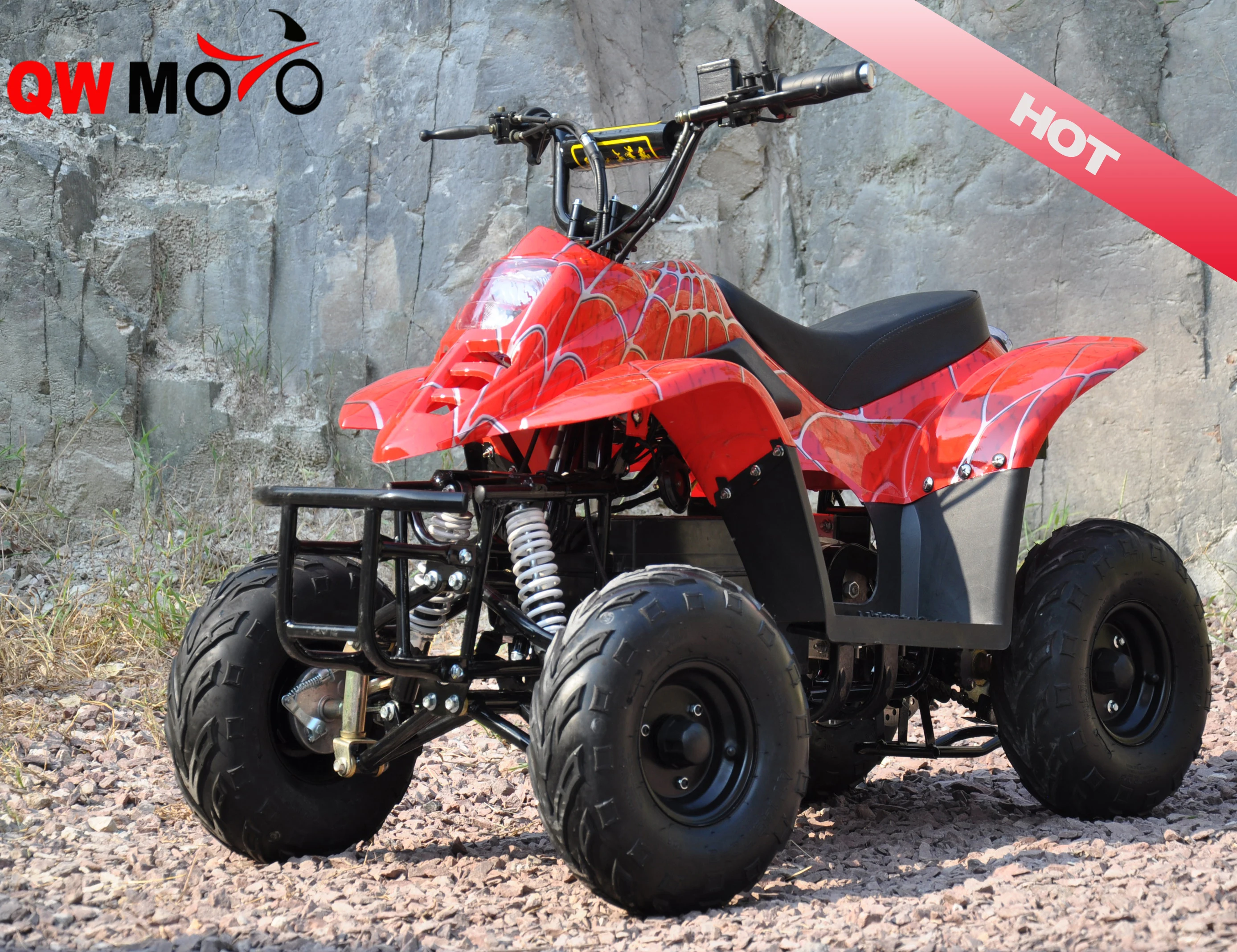 Brushless Motor 500W 48V Electric Mini ATV for Kids