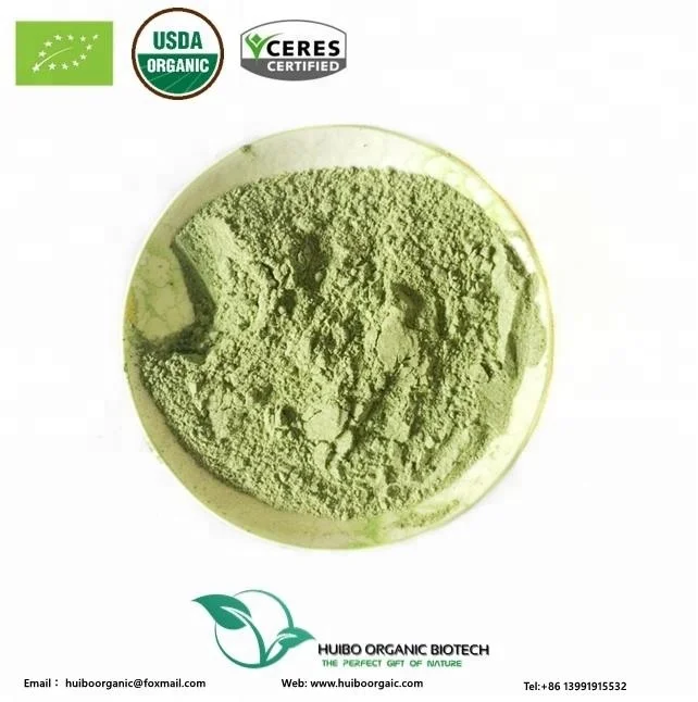 Wholesale Kelp powder with best price / sea weed powder