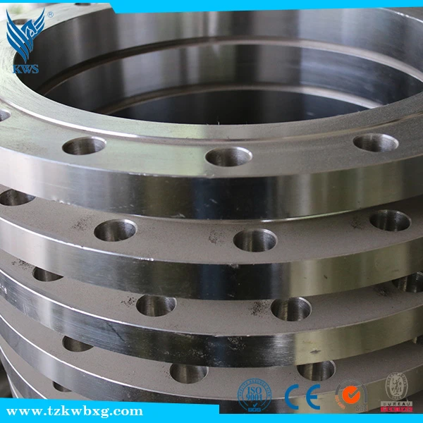 EN10272 316L Stainless steel sealing whorl flange