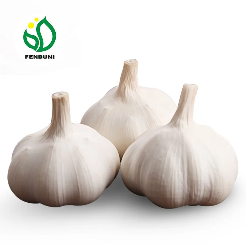 
China fresh Garlic Supplier , New Crop Low Price 