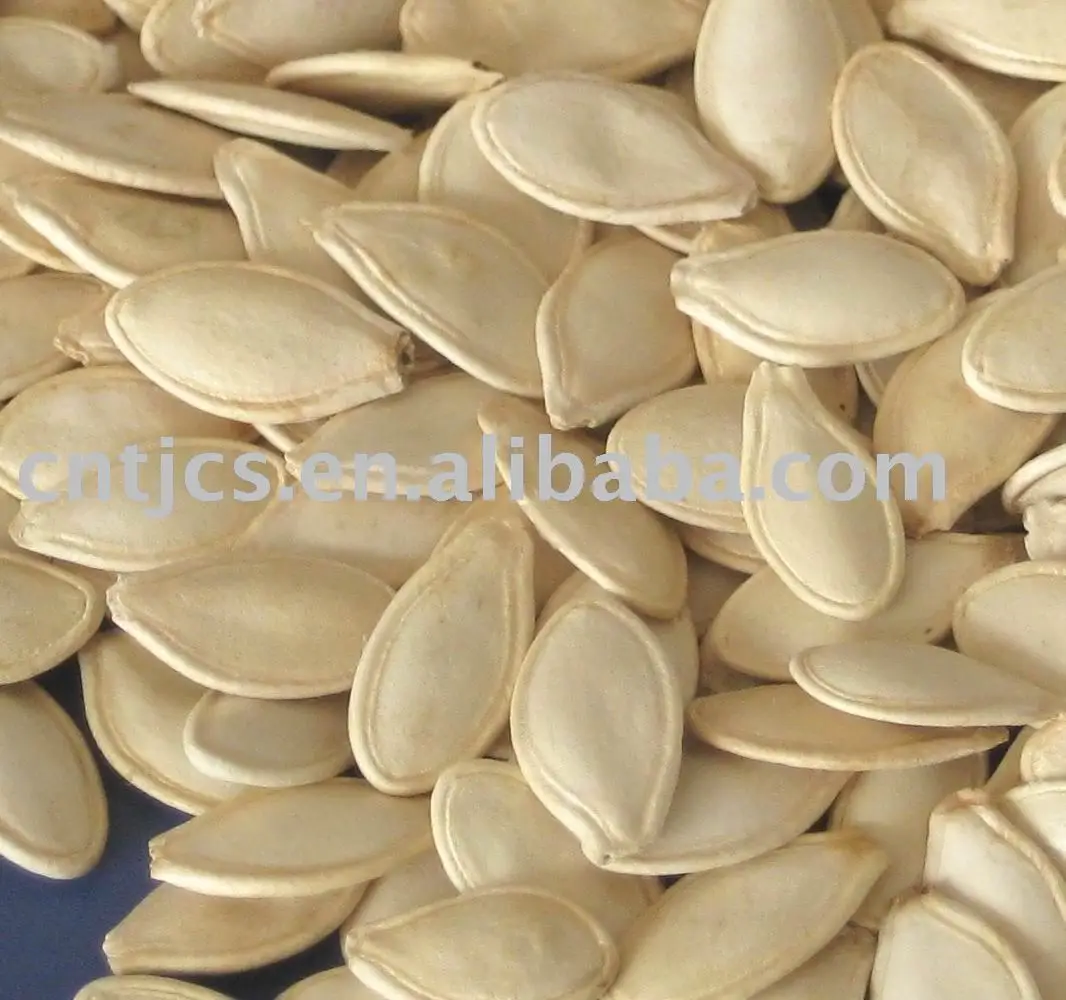 
chinese snow white pumpkin seeds ( squash seeds) 