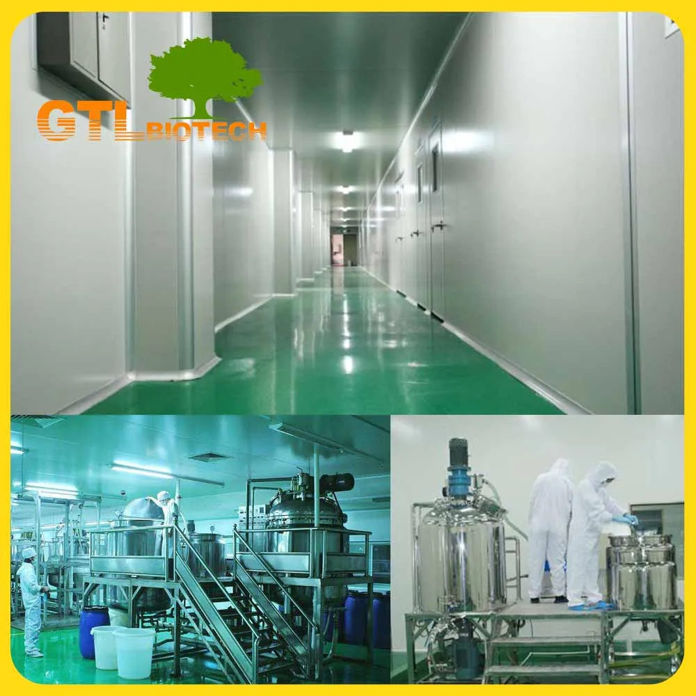 
Wholesale Cold Press Organic Extra Virgin Olive Oil Bulk 