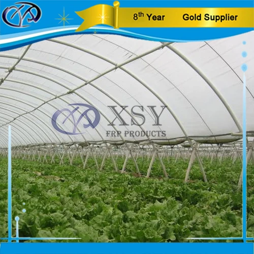 Solid Smooth Fiberglass Rod for Vegetable Support