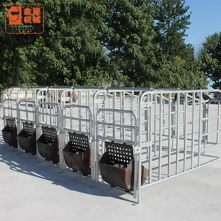 Свинья опороса ящики один останов и Свинья дом линии подачи системы