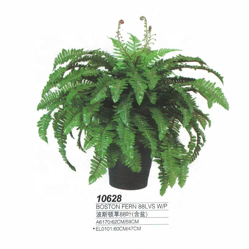 
natural design artificial boston fern for decoration mini bonsai plastic ferns 