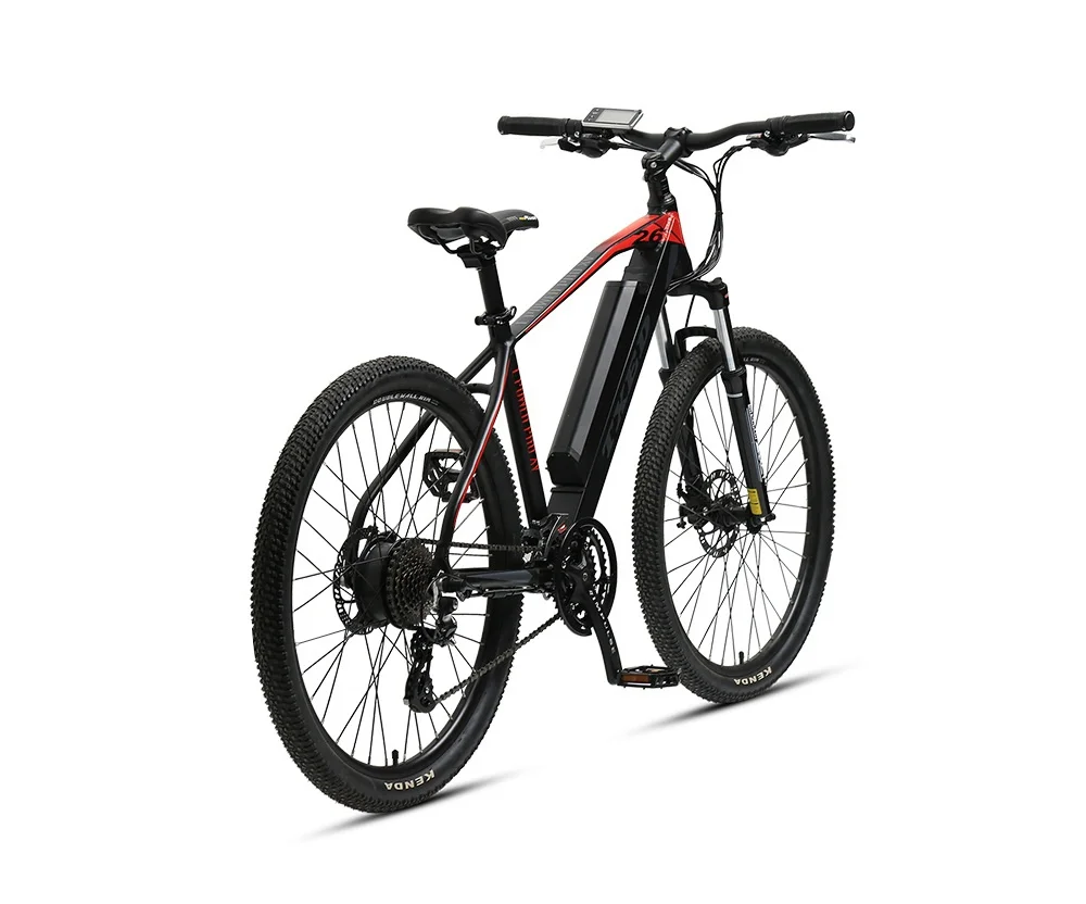 TXED Mountain Electric Bicycle With Good Price Rear Hub Motor mtb e bike